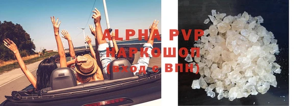 стаф Абинск