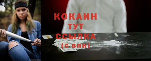 стаф Абинск