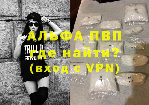 стаф Абинск
