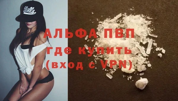 стаф Абинск