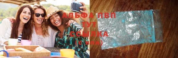 стаф Абинск