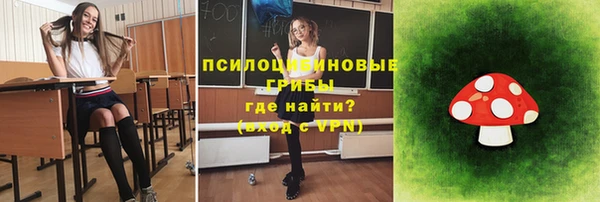 стаф Абинск